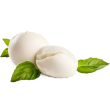 Mozzarella